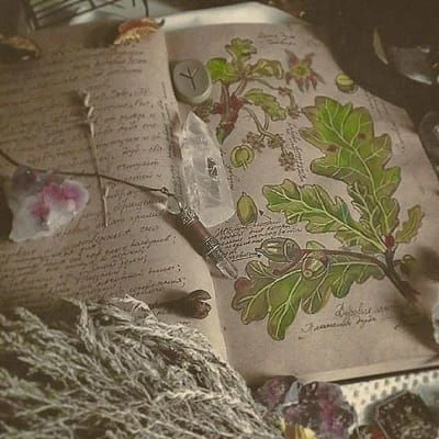 Enchanted mood